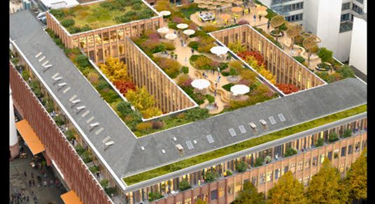 Green-roof conversion